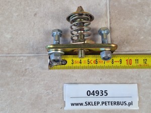 Zatrzask zamka, ze sprężyną, montowany na 2 śruby, głębokość 6 cm