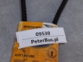 09530, Pasek Continental AVX13x1250 (3).jpg