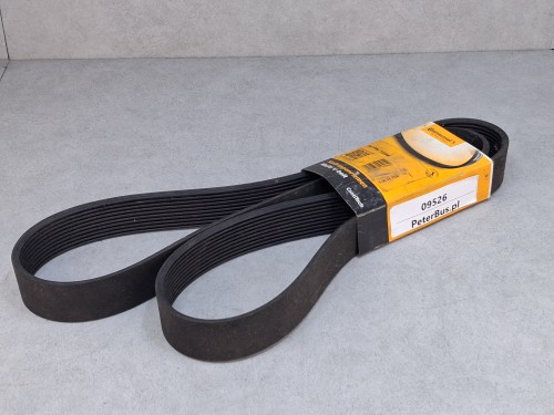 09526, Pasek Continental 10 PK 1698 (8).jpg