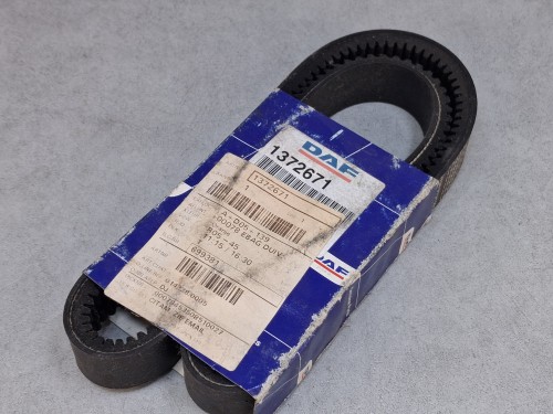 09521, Pasek DAF 1372671 (4).jpg