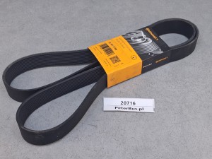 Pasek klinowy Continantal 10 PK 1768 - VOLVO - nr 121 3406, nr 5 05 08 11/A 